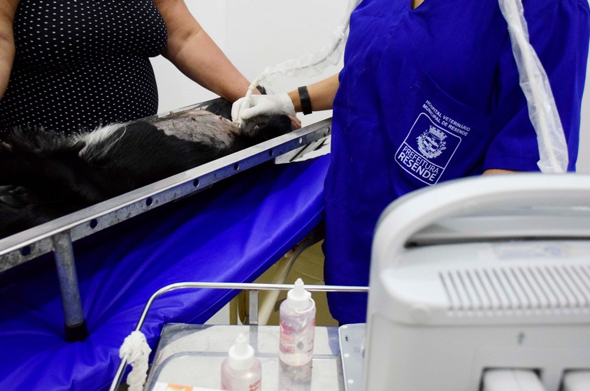 Hospital veterinário público de Resende completa seis meses de funcionamento