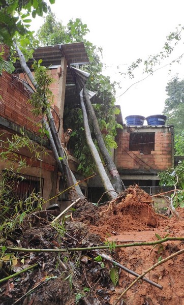 Defesa Civil de Barra Mansa faz vistoria em imóvel atingido por árvores durante as chuvas desta sexta-feira, 26