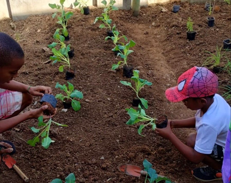 Unimed Volta Redonda realiza plantio de hortaliças no Programa Curumim no bairro Volta Grande