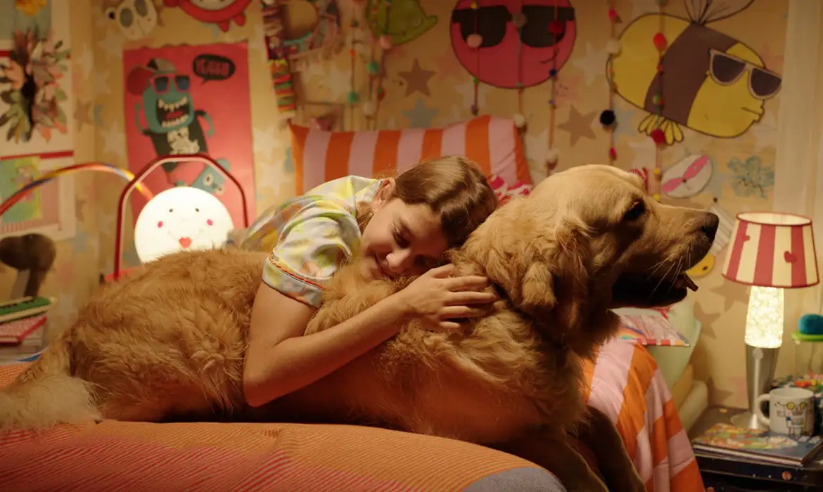 Festival de cinema BIFF 2026 divulga programação e selecionados