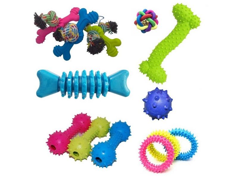 Brinquedos diversos para cães e gatos Brinquedos diversos para cães e gatos