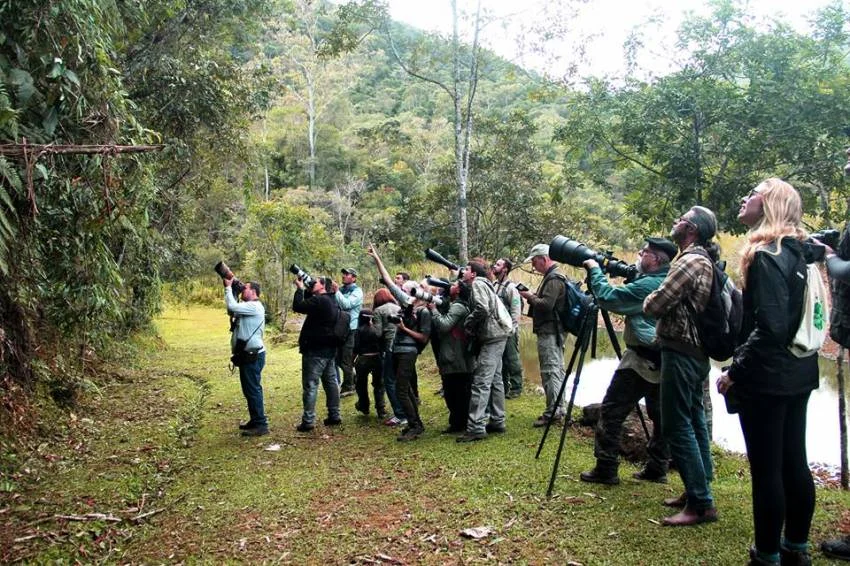 Observaoaves5 1