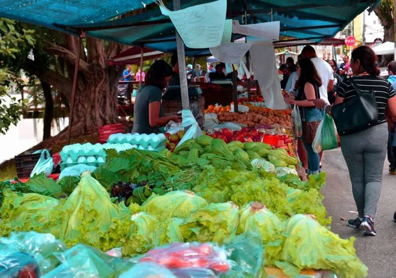 PREFEITURA LEVA FEIRA LIVRE PARA REGIÃO DE VISCONDE DE MAUÁ