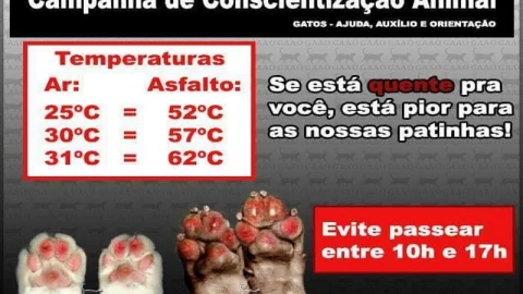 Mufaza Agropecuária e Petshop em Volta Redonda – foto 2