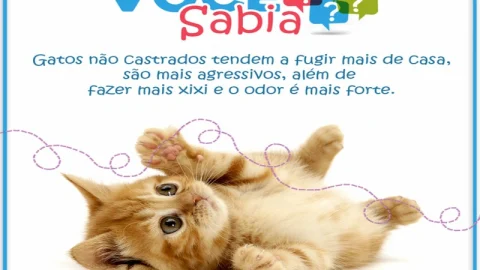 Mufaza Agropecuária e Petshop em Volta Redonda – foto 3