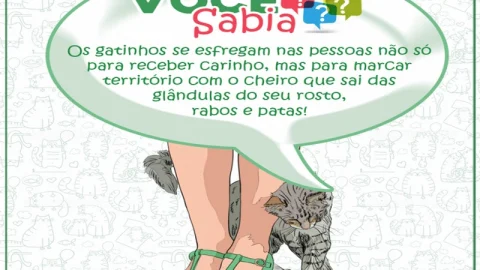 Mufaza Agropecuária e Petshop em Volta Redonda – foto 4