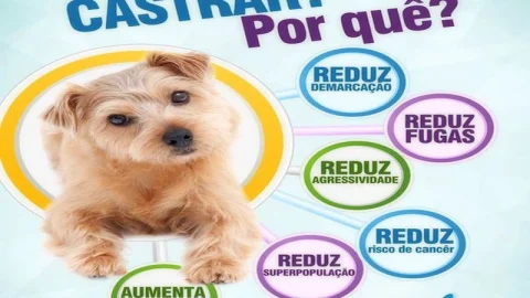 Mufaza Agropecuária e Petshop em Volta Redonda – foto 7