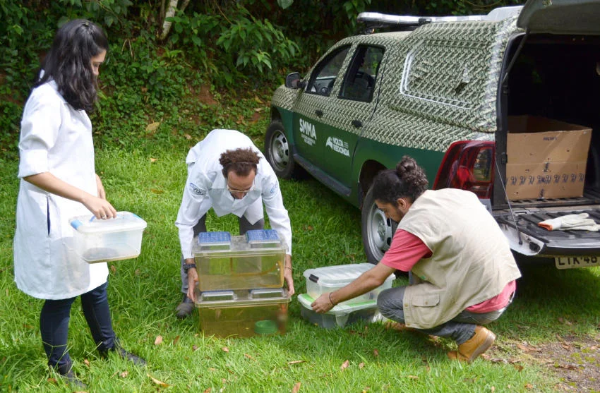 Meio Ambiente devolve serpentes à natureza em Volta Redonda