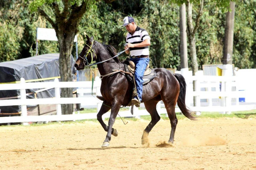 Tradicional torneio leiteiro da amizade chega à sua 39ª edição nesta quinta-feira