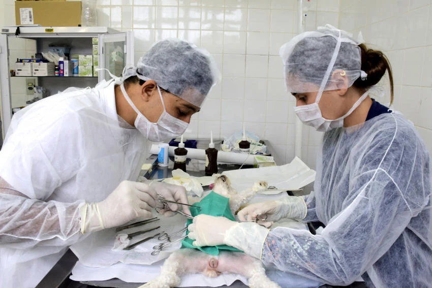 Centro de Controle de Zoonoses de Resende ultrapassa marca de 10 mil atendimentos feitos desde 2017