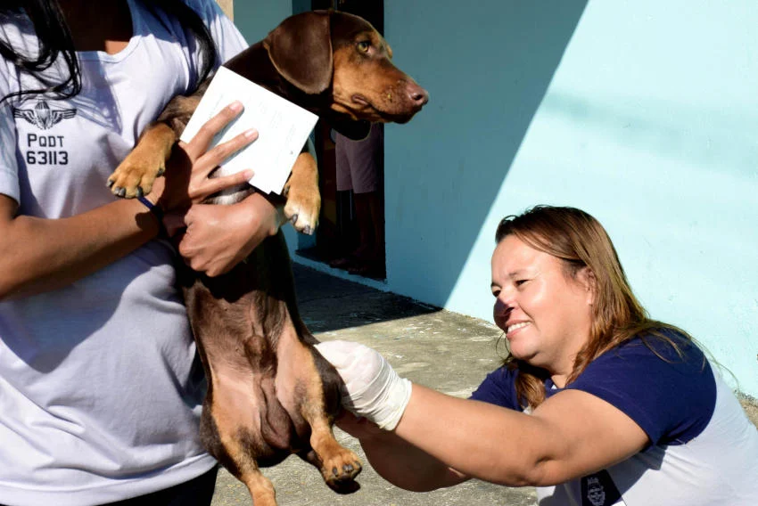 CCZ segue com etapa da zona urbana da campanha de vacinação antirrábica 2019.