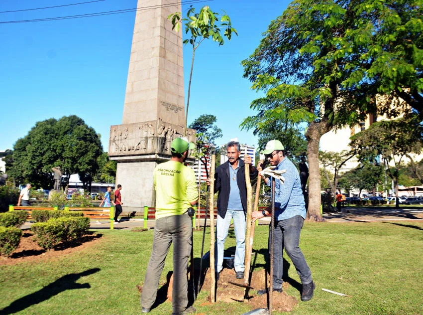 Praça Brasil ganha revitalização do verde com novas mudas, dentro das metas de plantio de 50 mil mudas até o final de 2020