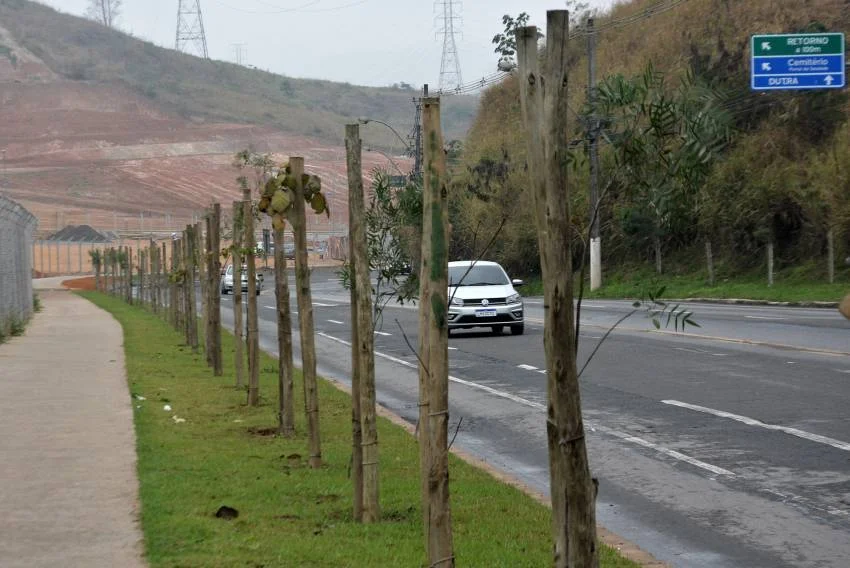 Meio Ambiente: Volta Redonda terá mais de 15 mil mudas plantadas até final de 2020