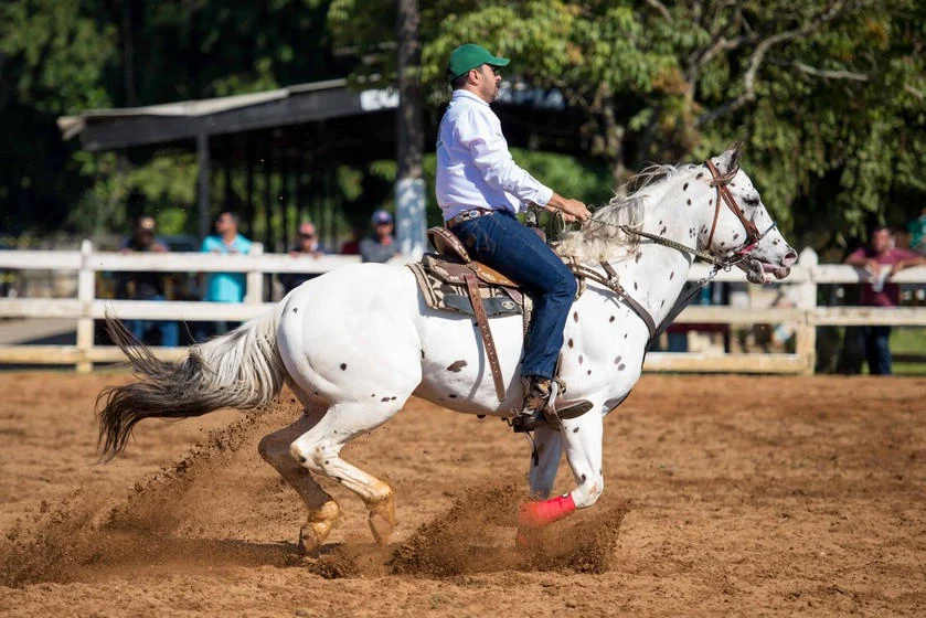 Hipismo, provas de tambor, baliza e atividades para crianças serão atrações na EXAPICOR 2019