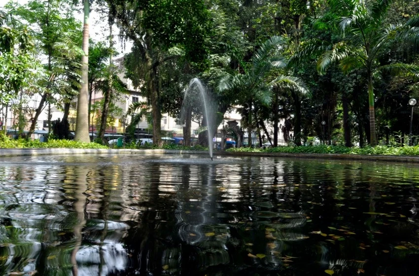 Parque Centenário será fechado de quinta-feira a sábado para corte de eucaliptos comprometidos pela ação do tempo