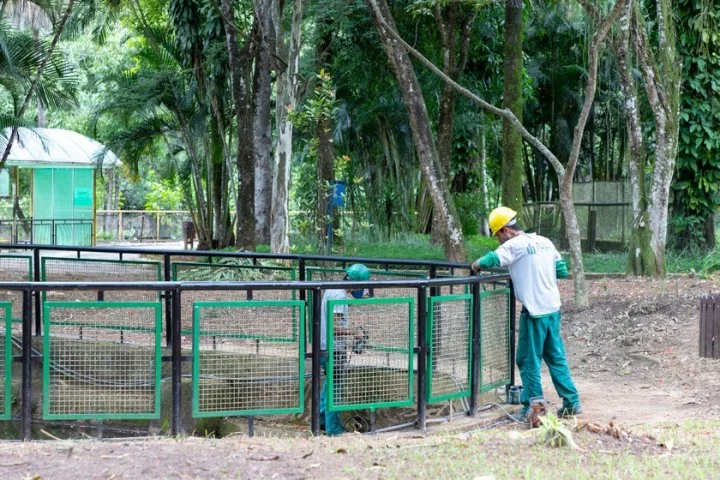 Reforma do Zoológico de Volta Redonda entra em fase de conclusão