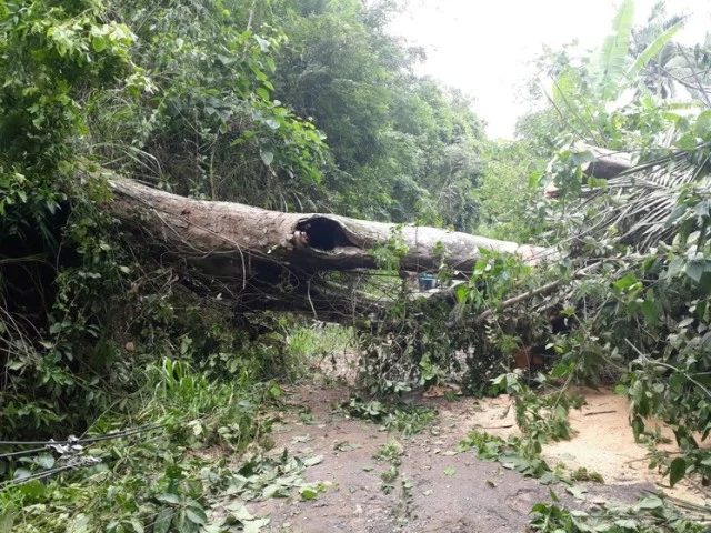 Barra Mansa trabalha para liberar áreas afetadas pela chuva