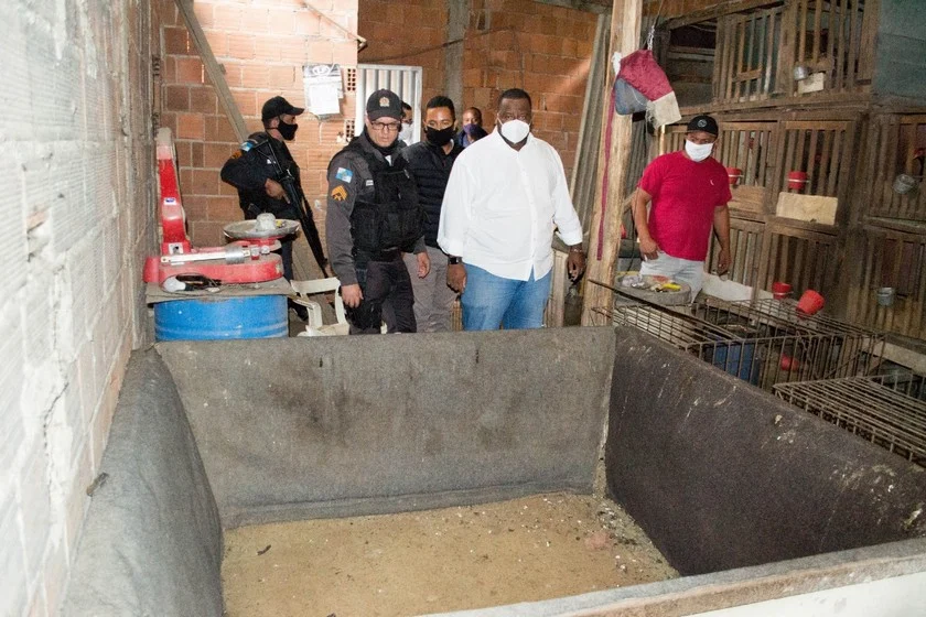 Prefeitura de Volta Redonda faz apreensao de galos de rinha