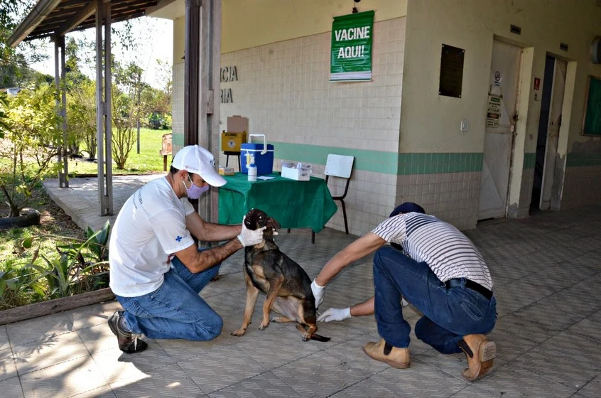 Com protocolos de segurança contra Covid-19, Vacinação Antirrábica é iniciada