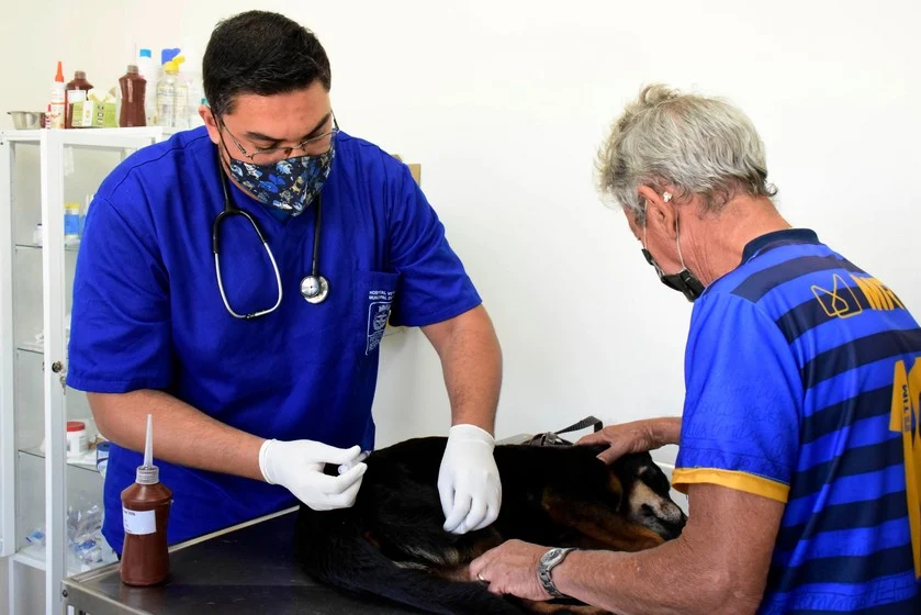 Hospital veterinário de Resende registra mais de 8 mil cães e gatos atendidos nos primeiros três meses de implantação