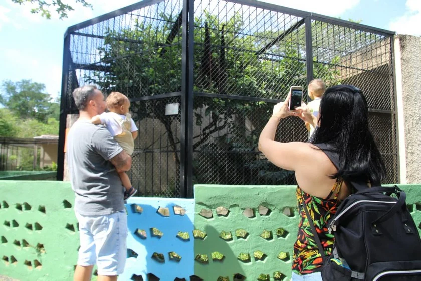 Zoológico de Volta Redonda atraiu cerca de duas mil pessoas no fim de  semana