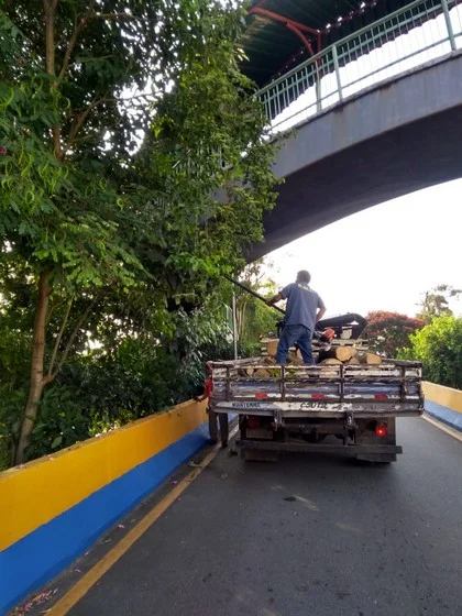 Prefeitura realiza poda de árvores em diversos bairros