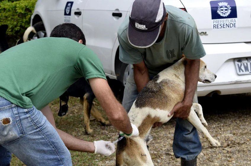 Prefeitura de Resende inicia campanha de vacinação antirrábica animal 2021 em abril deste ano