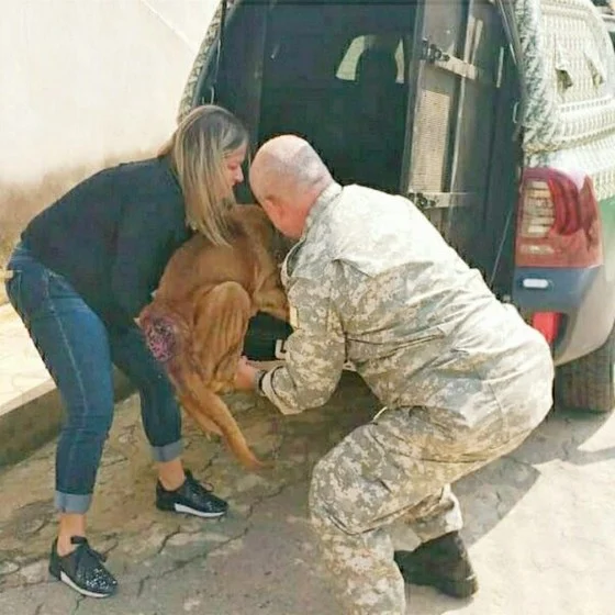 Coordenadoria de Proteção e Bem-Estar Animal já atendeu a mais de 120 denúncias de maus-tratos a animais este ano