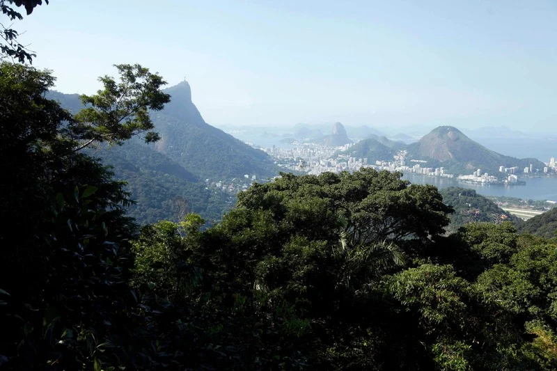 Preservação das áreas verdes do estado é lembrada no Dia da Mata Atlântica