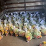 Prefeitura libera Kits hortfruti para alunos dos Distritos