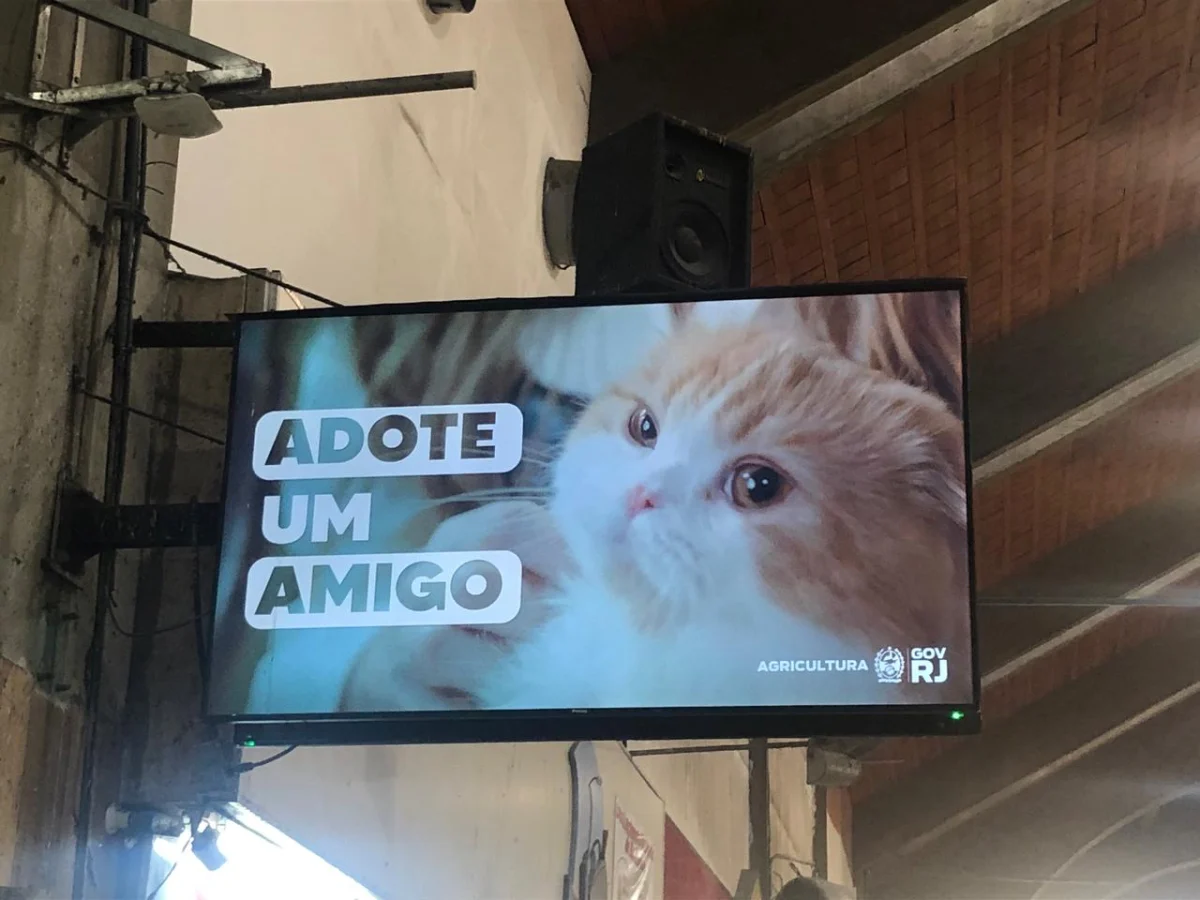Divulgação