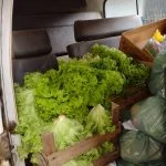Prefeitura libera Kits hortfruti para alunos dos Distritos