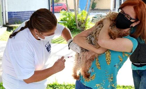 PREFEITURA DE RESENDE IMUNIZARÁ CÃES E GATOS CONTRA A RAIVA NO PRÓXIMO DIA 26 DE JUNHO
