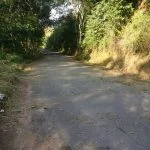 fea3b486ac594b39de08b9a2e778efd7 1