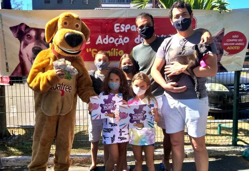 Mais de 40 cães e gatos já ganharam lares através do Programa de Proteção e Bem-Estar Animal da SMMA