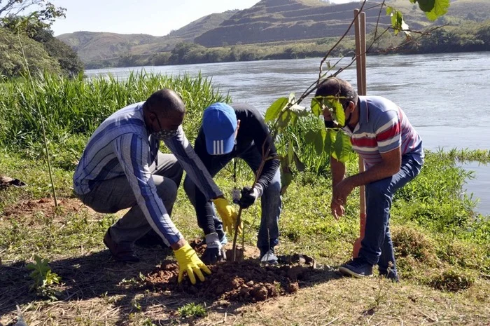 Barra Mansa realiza plantio de mudas nativas em Faixa Marginal de Proteção na Vila Maria