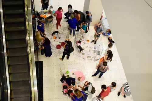Feira de adoção de cães e gatos acontece no Resende shopping neste sábado, dia 17