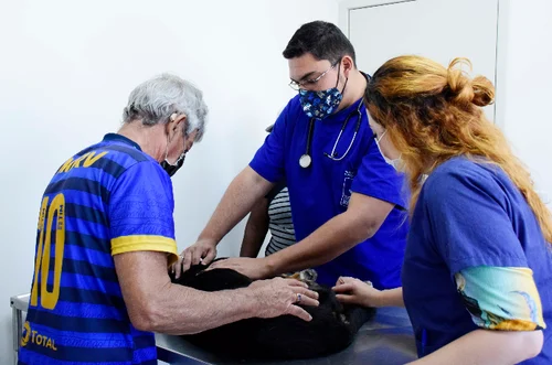 Primeiro hospital veterinário público do estado completa 1 ano
