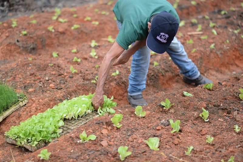 Secretaria de Desenvolvimento Rural realiza obras para Horta Coletiva no bairro Loteamento Primavera