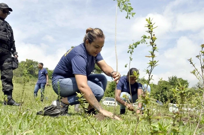 Novos agentes da GMBM ajudam a reflorestar área de proteção ambiental