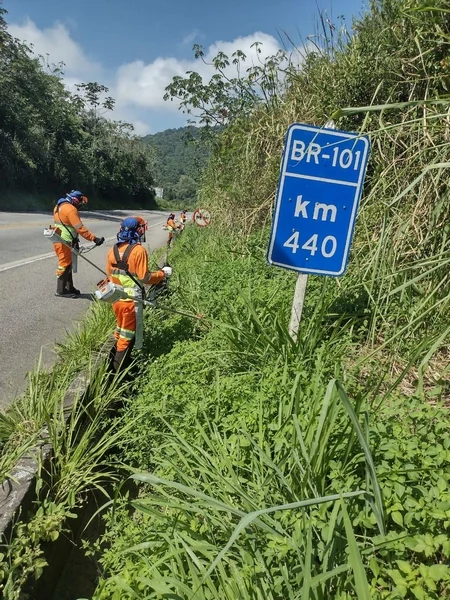 Rocada BR 101   ccr