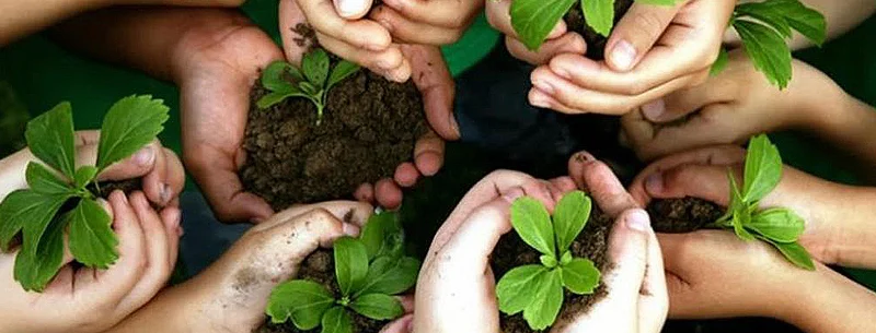 Projeto que mapeia negócios de impacto socioambiental no Rio é contemplado pela Faperj