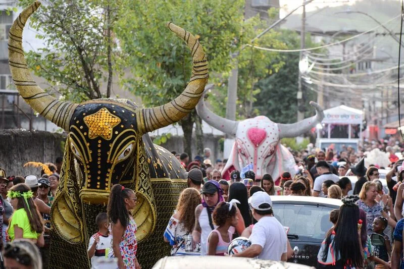 Bloco do Boi leva milhares de foliões às ruas de Barra Mansa