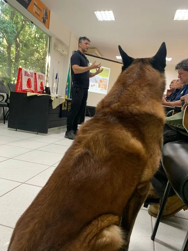 Barra Mansa sedia o 3° Congresso Nacional de Cães de Polícia e Trabalho