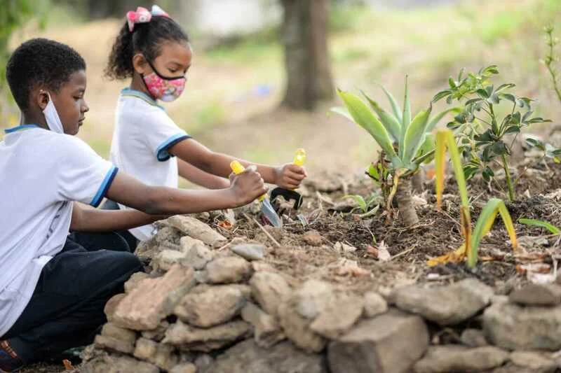 Escola Vocacionada Socioambiental de Barra Mansa é finalista em premiação