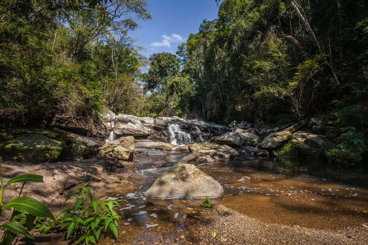 CSN soltará no Rio Paraíba 12 mil peixes recém-nascidos