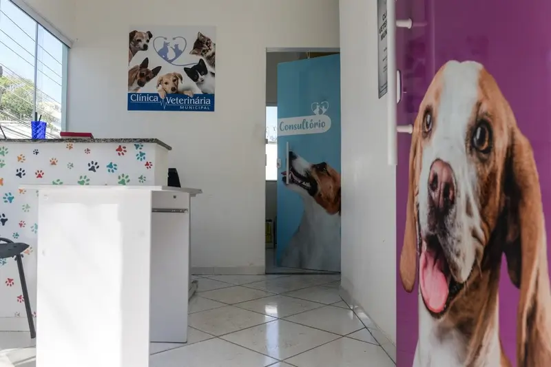 secretaria de proteção e bem estar dos animais
