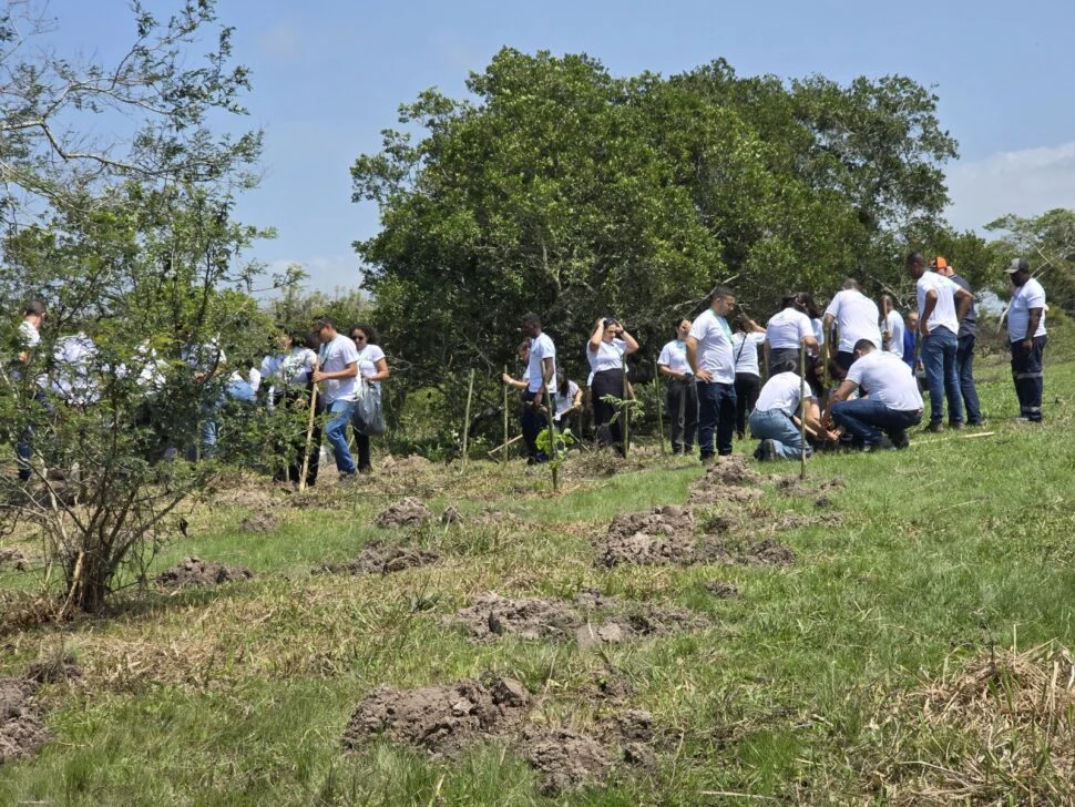 Inea participa de plantio de mudas em Cabo Frio