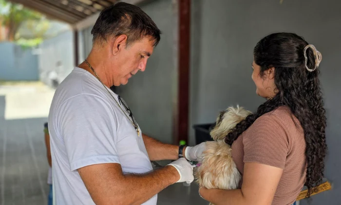 Última semana da campanha de vacinação antirrábica começa nesta segunda, 26